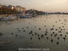 Silivri Sahil Fotoğrafları, silivri sahili, resimler